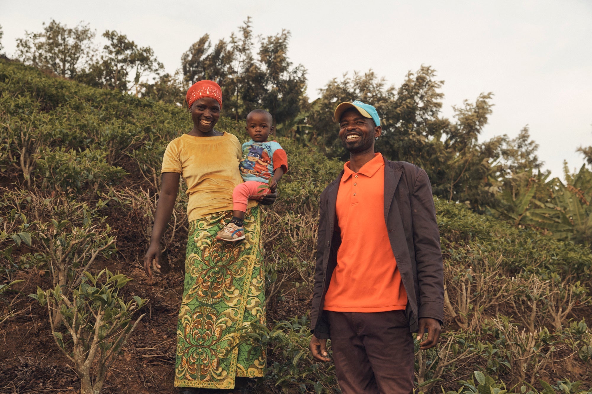 Tea farmers, Rwanda