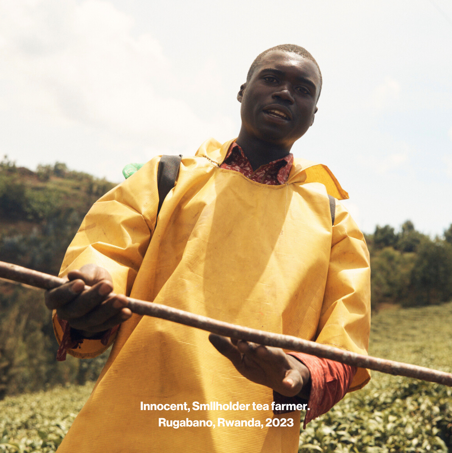 Starter Set - Teabags